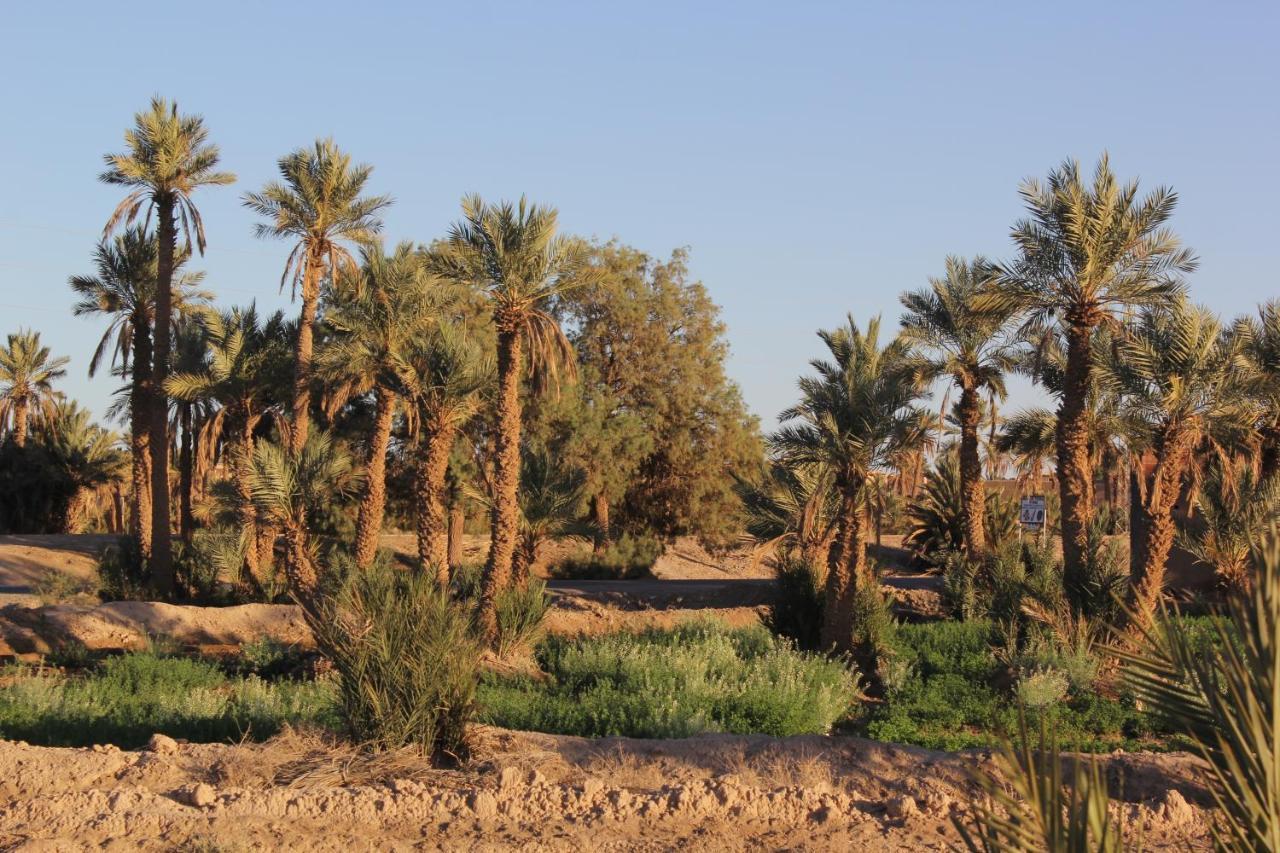 Palais Du Desert Hotel & Spa Erfoud Esterno foto